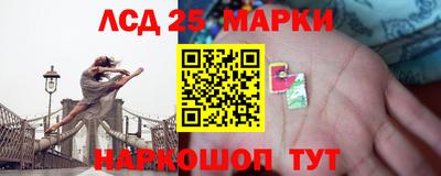 гидропоника Ярославль